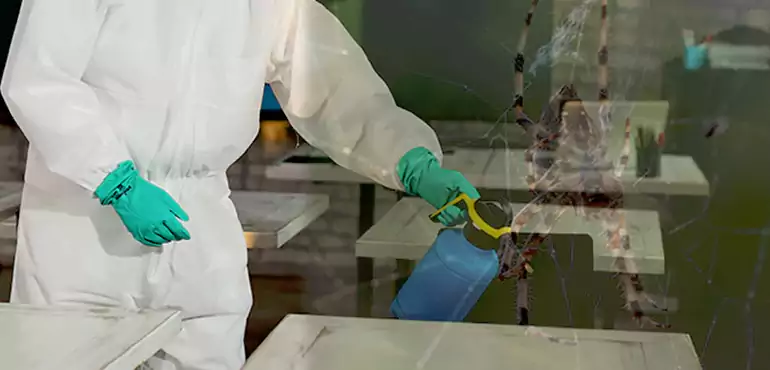 Why Buyers Still Want Homes With Pest Infestations in Maine, ME?