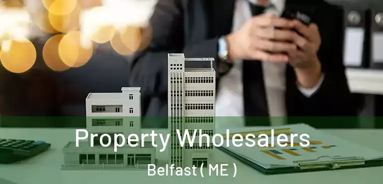  Property Wholesalers Belfast ( ME )