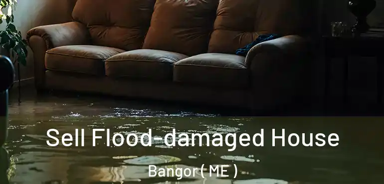  Sell Flood-damaged House Bangor ( ME )