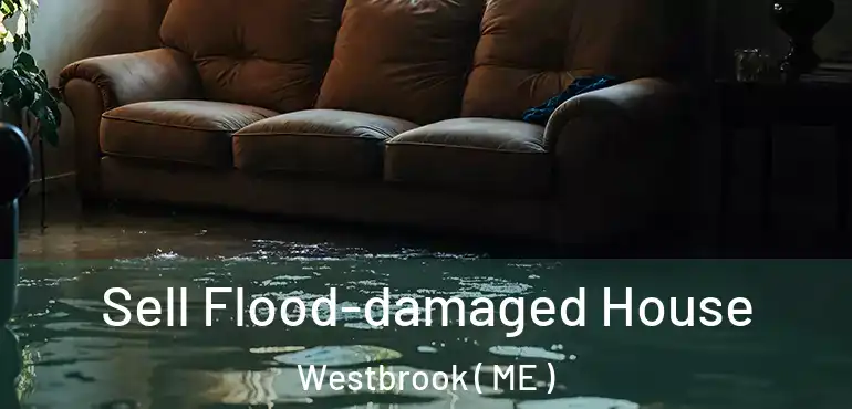  Sell Flood-damaged House Westbrook ( ME )