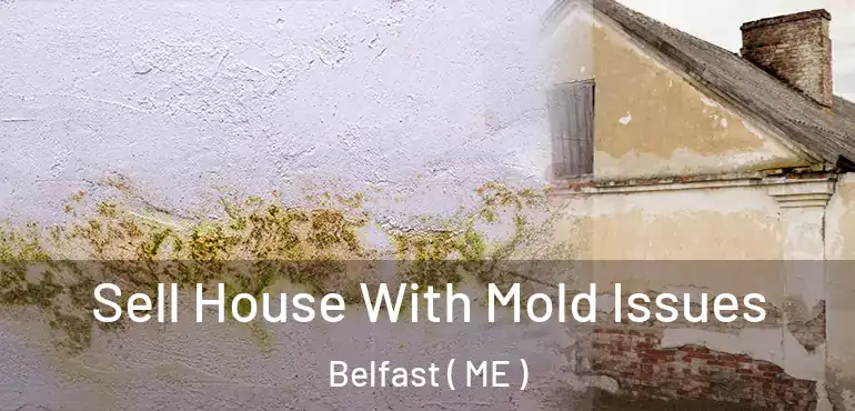  Sell House With Mold Issues Belfast ( ME )
