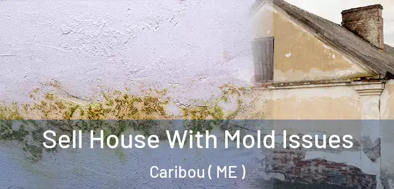  Sell House With Mold Issues Caribou ( ME )