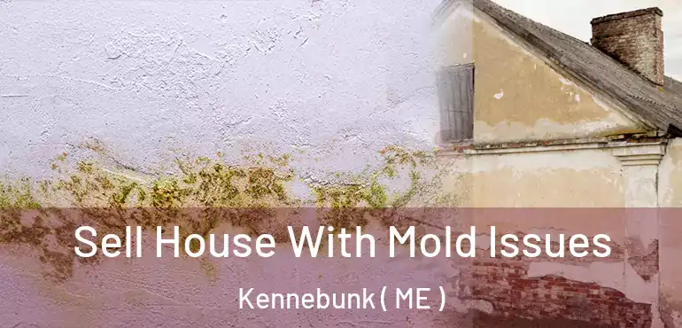  Sell House With Mold Issues Kennebunk ( ME )