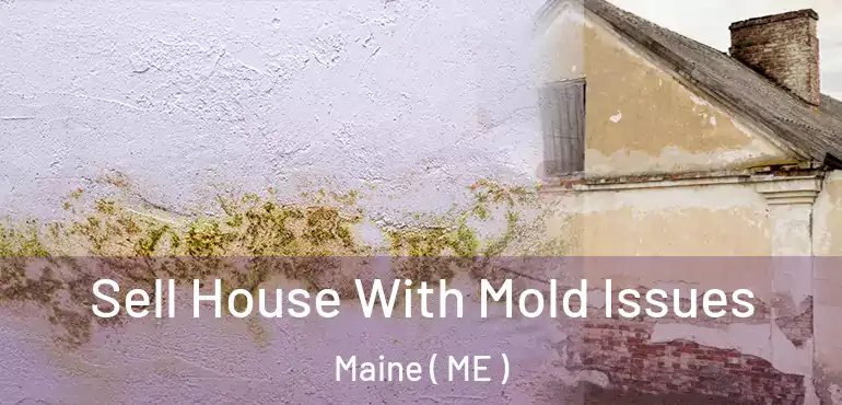  Sell House With Mold Issues Maine ( ME )