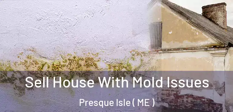  Sell House With Mold Issues Presque Isle ( ME )