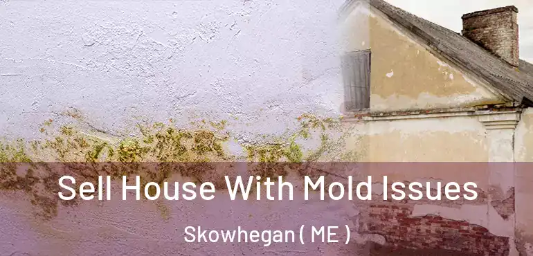 Sell House With Mold Issues Skowhegan ( ME )