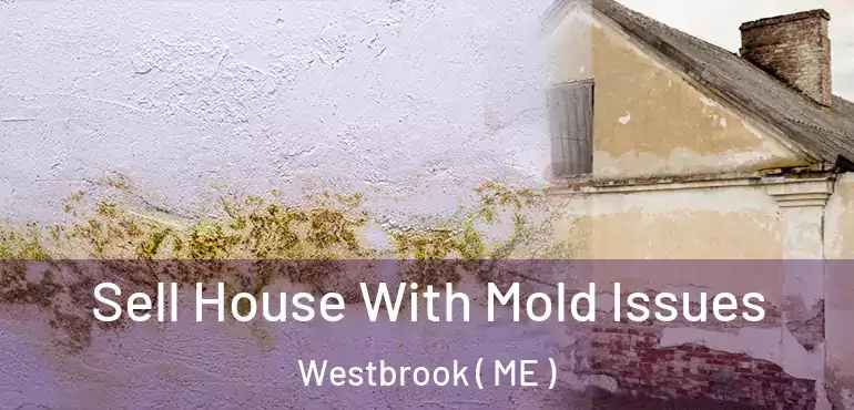  Sell House With Mold Issues Westbrook ( ME )