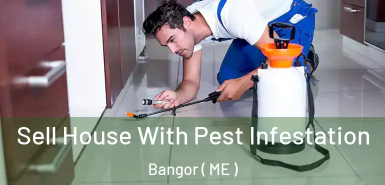  Sell House With Pest Infestation Bangor ( ME )