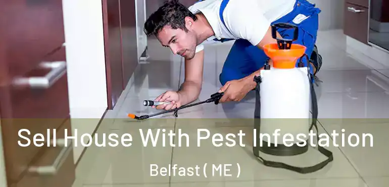  Sell House With Pest Infestation Belfast ( ME )