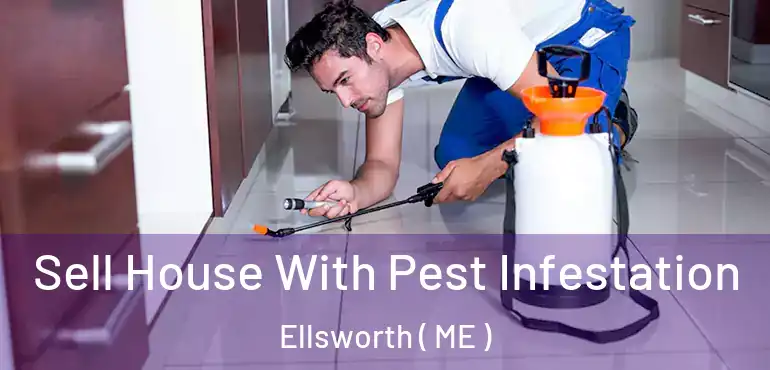 Sell House With Pest Infestation Ellsworth ( ME )